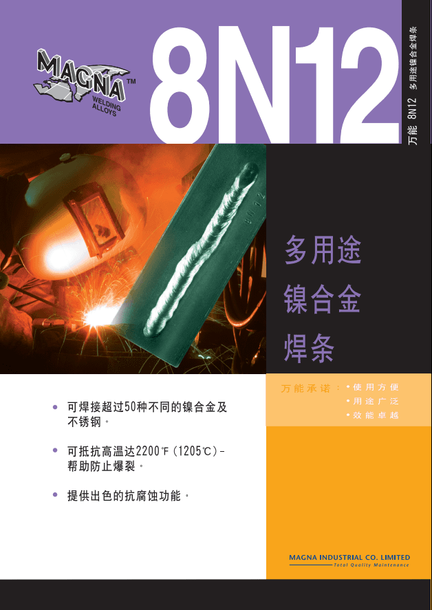 MAGNA 8N12 ����;��������