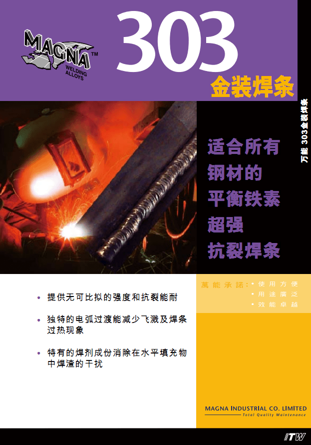 MAGNA 303 ��װ����