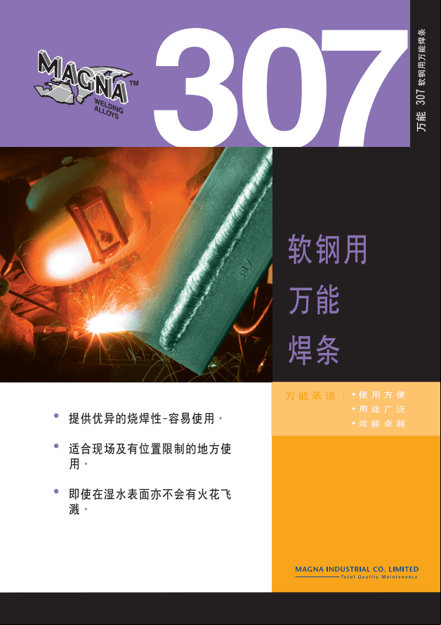 MAGNA 307���������ܺ���