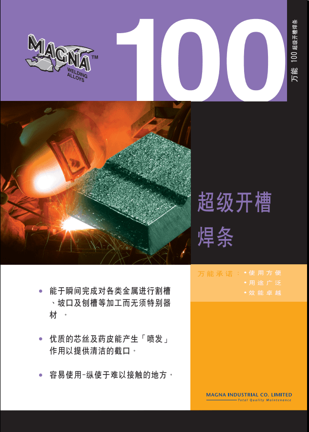 MAGNA 100 �������ۺ���